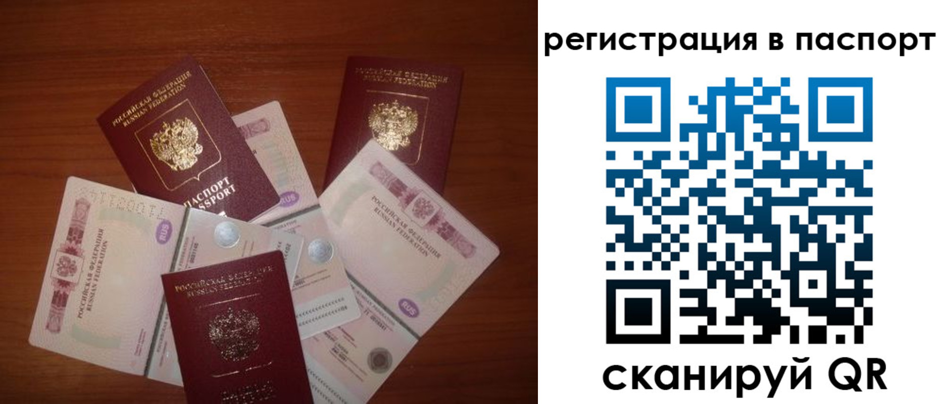 временная регистрация поиск в Калужской области